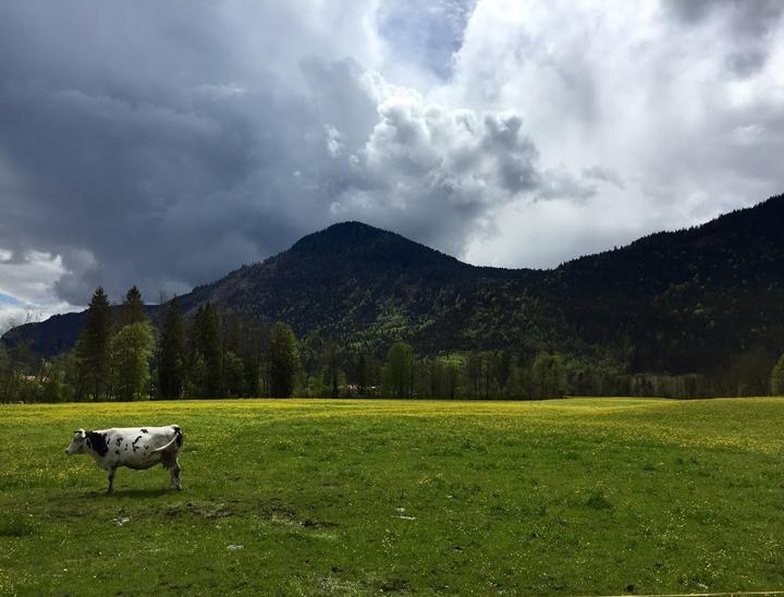 Gasthof Jachenau